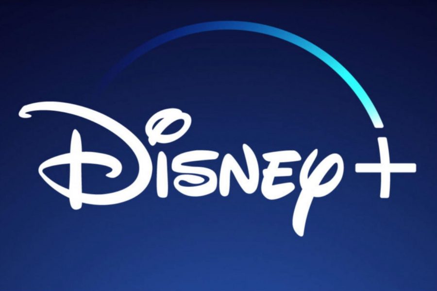 Disney Plus is the newest member of the online streaming business. 