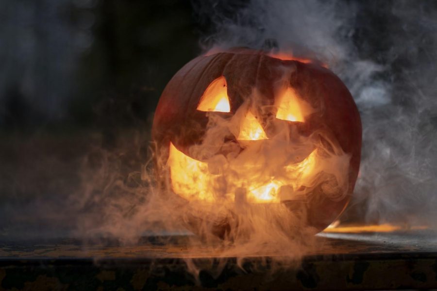 With Covid-19 limiting what can be done during Halloween, here are all of the safe events and activities that are going on in Florida for Halloween during 2020 