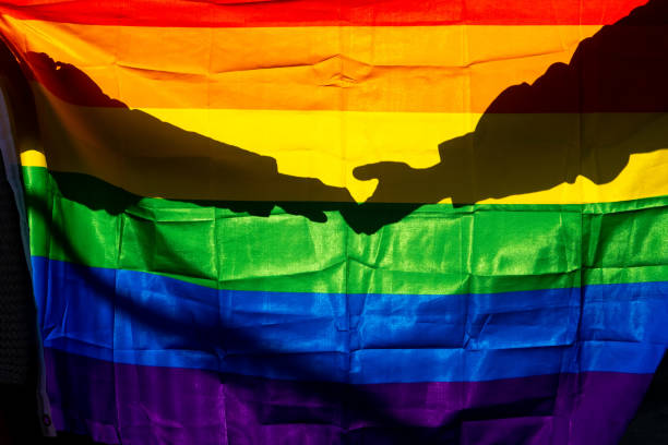 Two women are holding hands against the light through the LGTBI flag.