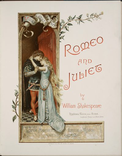 The classic Romeo and Juliet tragedy by the famous playwright William Shakespeare. 
 