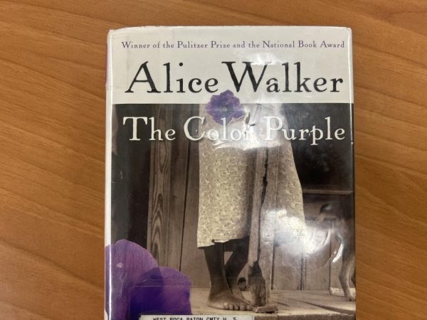 The book, The Color Purple, written by the author Alice Walker. 