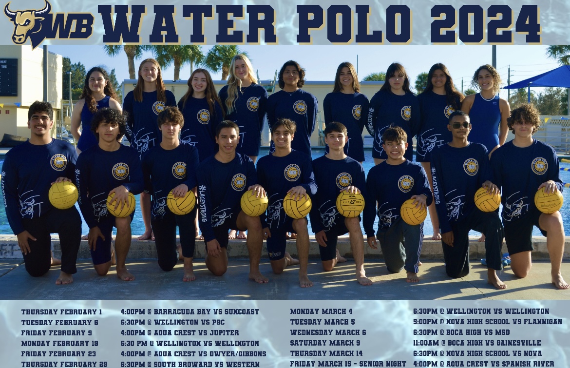 What is Water Polo?