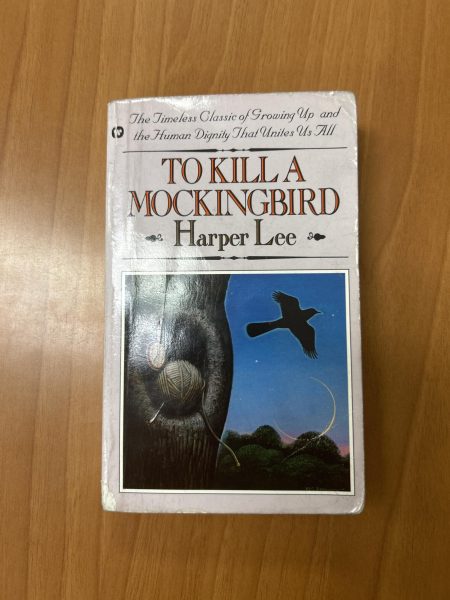 Picture of the book , To KIll a Mockingbird, written by Harper Lee.