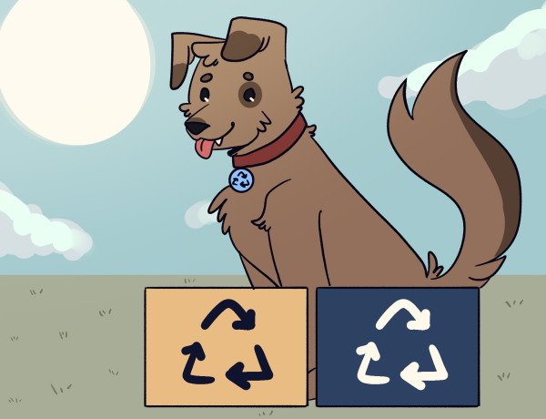 The image was made by Hillary Hernandez, its a cute dog in nice day with two recycling boxes, one yellow and one blue.