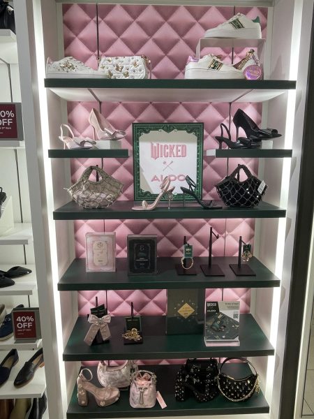 Canadian shoe brand, Aldo, collaborates with Wicked for limited edition Wicked designed shoes and purses.