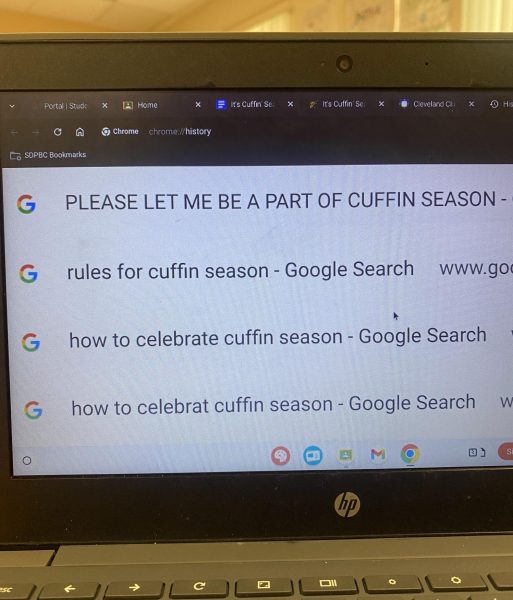 A picture of a computer's search history. The search history contains questions about cuffing season.