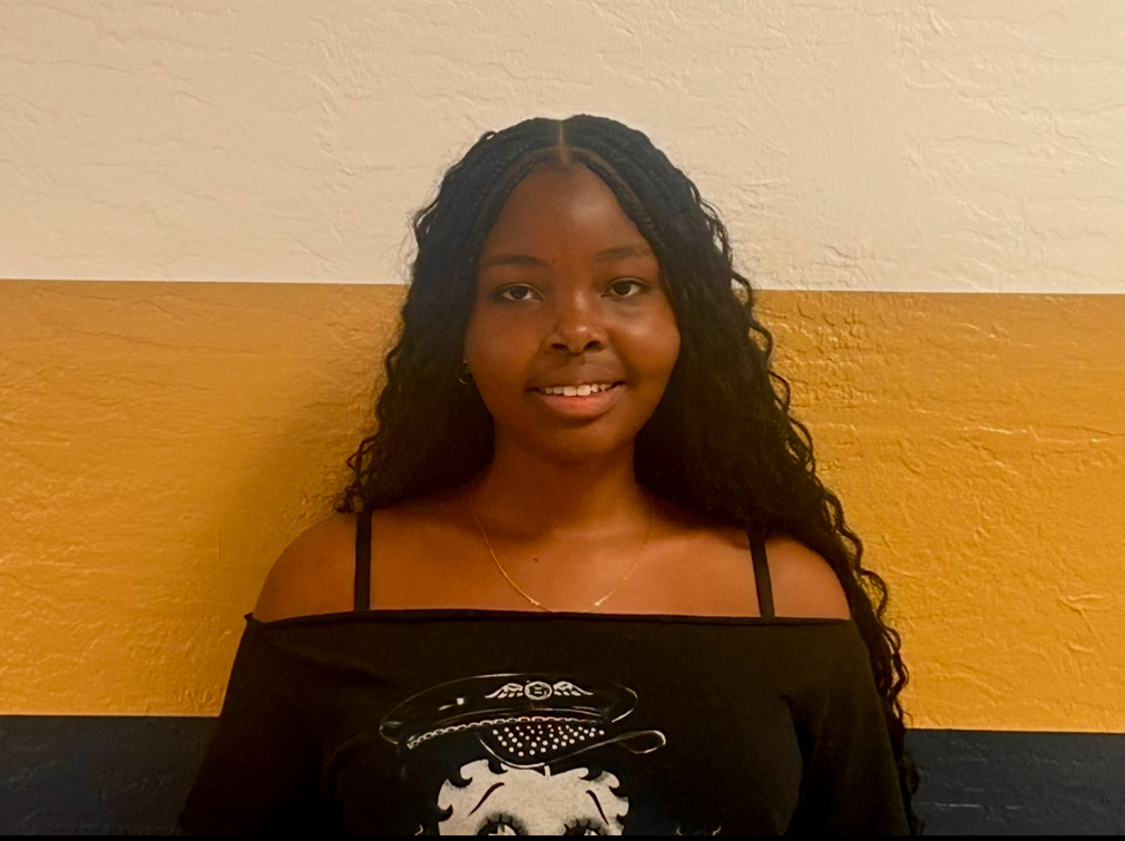 Introducing: Sophia Mundi