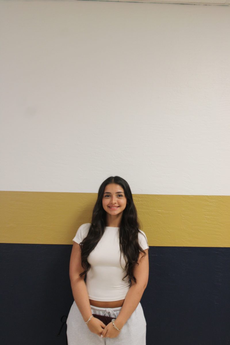 Introducing Julia Qurino