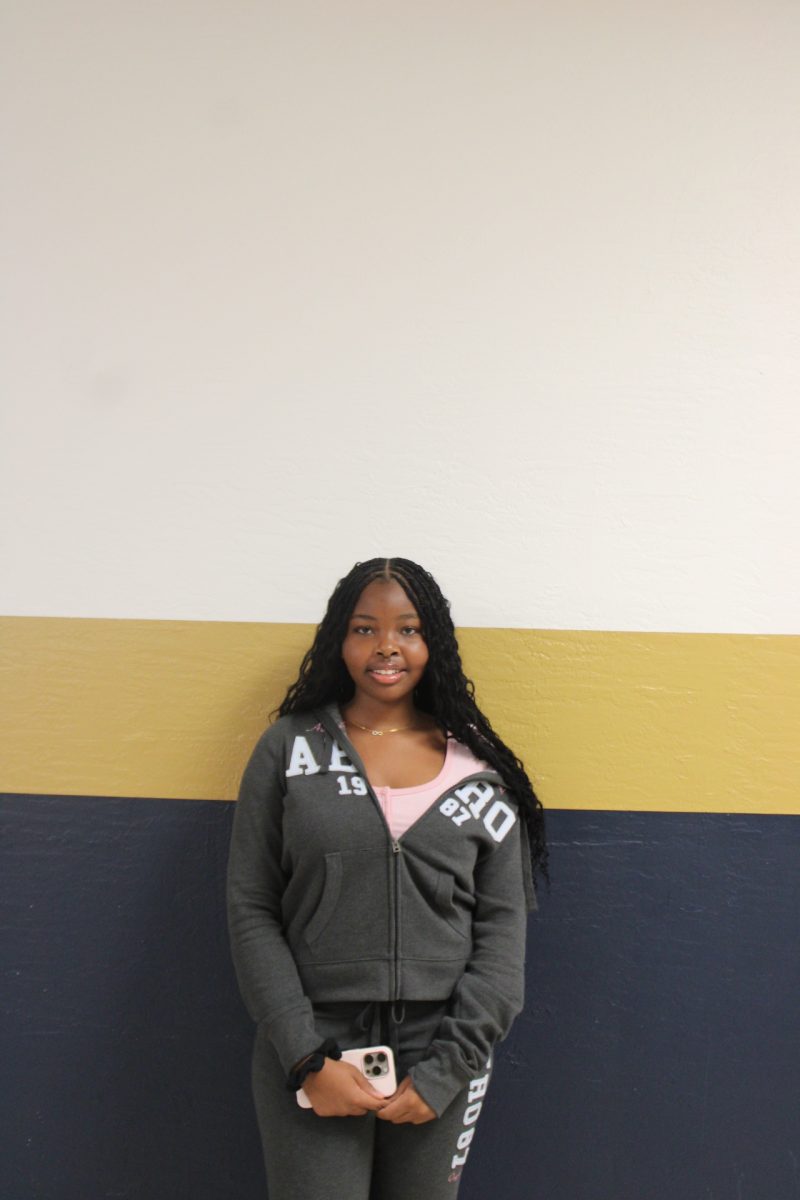 Introducing: Sophia Mundi