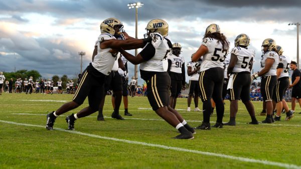 Bulls Show Strength Despite Tough Loss