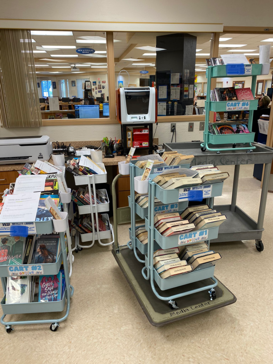 Extending the Shelf: WB Satellite Libraries